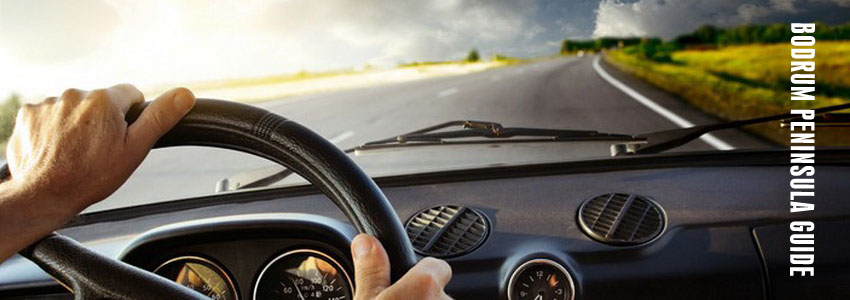 car driver