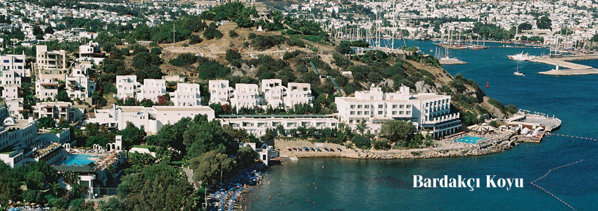 Bardakci cove