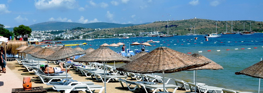beach