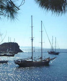 blue cruise boat