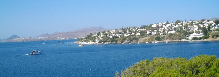 bodrum real estate