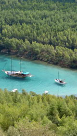 paradise cove bodrum