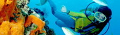 scuba