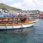 Boat Trip